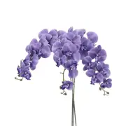 3Pcs 41" 9 Heads Artificial Orchid Stems Faux Phalaenopsis, Violet