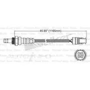 PAT Oxygen/Lambda Sensor Pre-Catalytic Converter/Manifold - EGO-355