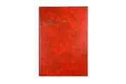 Collins Account Book - Day