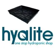Seed Tray Black 38 x 32 x 5cm Deep Propogation Seedling Clone Hydroponic Grow