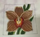 Cymbidium Orchid Turkey Flower Floral Handpainted Needlepoint Canvas Julie Mar