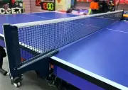 Sports Table Tennis Net Professional Ping Pong Net Portable Easy Setup New