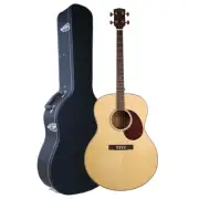 Artist TG100EQ Solid Top Tenor Guitar w/ Fishman Presys II Pickup & Hard Case
