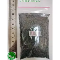 在飛比找蝦皮購物優惠-羽衣甘藍菜種子45g-美國-約15750顆-可水耕/土耕-8