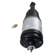 Rear Air Suspension Strut for Range Rover Sport, Discovery 3/LR3 & 4/LR4 05-14 (for: Land Rover)