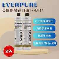 在飛比找森森購物網優惠-【EVERPURE】PENTAIR BH2 (2入) 濾心 