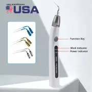 Dental Endo Ultra Activator Ultrasonic Irrigator Root Canal Handpiece SANDENT