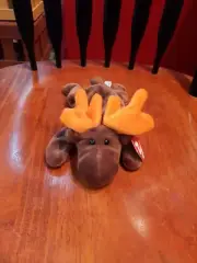 Ty Beanie Babies Chocolate Moose New With Tags