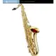 亞洲樂器 JUPITER TENOR SAXOPHONES Bb調次中音薩克斯風 JTS500Q