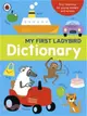 My First Ladybird Dictionary