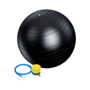 75cm Static Strength Exercise Stability Ball with Pump