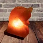 Himalayan SALT LAMP Rock Crystal LUCKY HORSE Unique Ionizer