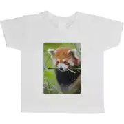 'Red Panda' Children's / Kid's Cotton T-Shirts (TS095589)