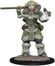 Wizkids Wardlings RPG Figures Girl Druid & Stone Creature