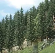 Realistic Fir Trees (Pack of 2) HO/TT/O Gauge Busch 6133