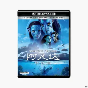 阿凡達2水之道 4K UHD 藍光碟 2022 全景聲7.1 國語英語中字