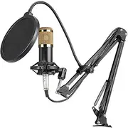 Labymos BM800 Professional Condenser Microphone Podcast Live Broadcast Equipment USB MIC Microfone Set Studio Mic with Arm Stand Music Equipment for Studio Live and Broadcasting