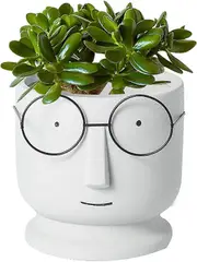 Lertenys Face Planter Planter Cement Flower Pots,Small Ceramic Succulent Pot,Creative Glasses Face Plant Pots Cactus Pots for Home Office Wedding D...