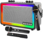 Karaoke Machine Portable Bluetooth Speaker with 2 Wireless Microphone