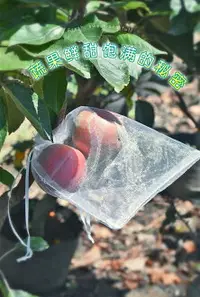 在飛比找樂天市場購物網優惠-【雙拉繩紗袋-單入】水果套袋 紗網袋 雪紗網 防蟲網袋 水果