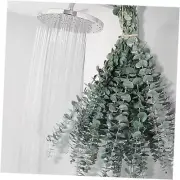 12 PCS Dried Eucalyptus Bundle for Shower - 17" Large Preserved 12pcs