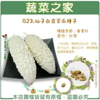 在飛比找樂天市場購物網優惠-【蔬菜之家】G23.仙子白皮苦瓜種子(共有2種包裝可選)