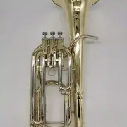 New Professional Performance Version with B-flat Baritone