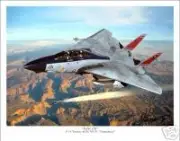F-14 Tomcat Aviation Art Print