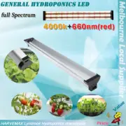 Hydroponic Full Spectrum LED 4000k&Red 80W Indoor Grow Light Plant Booster