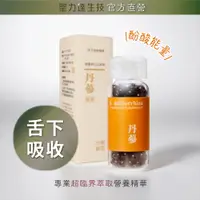 在飛比找PChome24h購物優惠-聖力達生技 丹參 舌下吸收精華（180粒/瓶) 酚酸能量