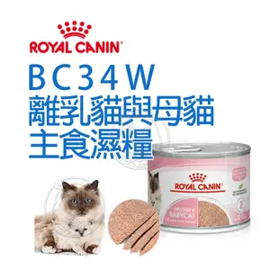 《 ROYAL CANIN 法國皇家》 FHNW 皇家離乳貓與母貓專用濕糧BC34W 195克【培菓寵物】
