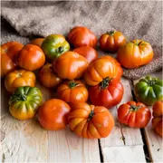 Tomato - Santorini seeds