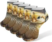 [AQRJLPM] Chicken Chick Socks No Show Socks Low Cut Anti-Slid Athletic Casual Invisible Liner Socks Unisex, White, One Size Short, White, One Size Short
