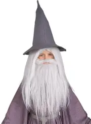 Lord Of The Rings Boys Grey Gandalf Beard And Wig Set