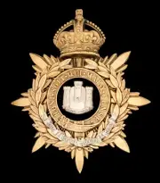 Kings Crown The Devon Regt Blue Cloth Officers Helmet Plate
