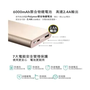 【Verbatim 威寶】6000mAh 行動電源Li-Polymer Power 金色(外盒受損)