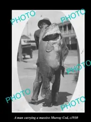 OLD POSTCARD SIZE FISHING PHOTO OF MAN CARRYING A MASSIVE MURRAY COD c1930