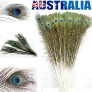 10/50pcs 8-12" Beautiful Peacock Tail Eyes Feather Feathers Wedding Party Decor