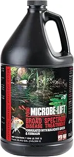Eco Labs BSDTGAL Broad Spectrum Disease Treatment Gallon