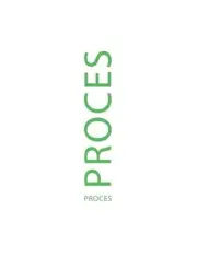 Proces by Stefan Green Meinel (Danish) Paperback Book