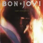 Bon Jovi - 7800 Degrees Fahrenheit CD