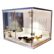 Chick Brooder Brooder Box for Chicks Incubator for Chicks Duckling/Parrot/Chi...