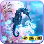 Oceanic Harmony - Peaceful Underwater Seahorse Haven Screensaver