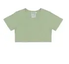 Jungmaven Super Cropped Lorel T Shirt Pistachio Hemp Organic Cotton Small NWT