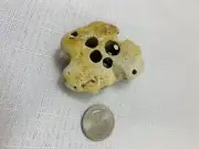 Holey Hag Stone over 1 inch (16164)