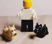 New LEGO Terrier Lot of 2 Dogs Long Hair Sweepers Eyebrows SCOTTIE Scottish Pup
