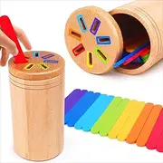Montessori Toys for 1-3 Year Old: Wooden Learning Color Sorting Toys for Toddlers Age 1 2 3, Educational Fine Motor Developmental Sensory Matching Games (Color) (Color)