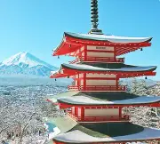 Lemon Mobile Japan Travel SIM Card 7-180 Day Unlimited Data Plans Roaming