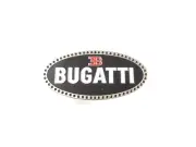 Early Bugatti Radiator Grille Badge Emblem Customize Brass Chrome Enamel Black