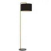 Apricus Gold Black Contemporary Floor Lamp